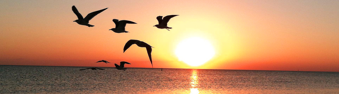 October 2025 Summary