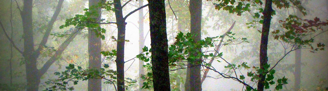 Thank You, Allan Brownfeld!